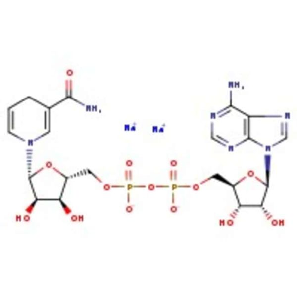 ^b-Nicotinamide adenine dinucleotide reduced disodium salt, 98%