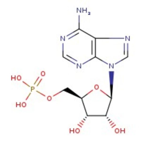 Adenosine 5'-monophosphate, 99%