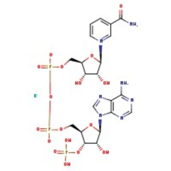 beta-Nicotinamide adenine dinucleotide phosphate monopotassium salt, ca 90%