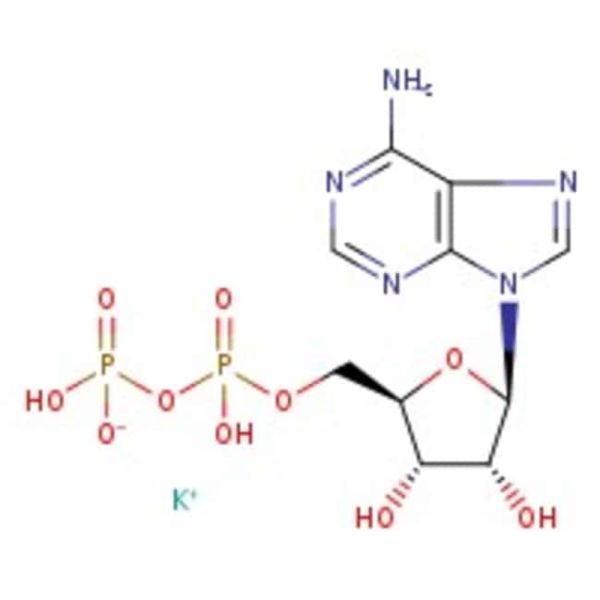 Adenosine-5'-diphosphate monopotassium salt dihydrate, 99%