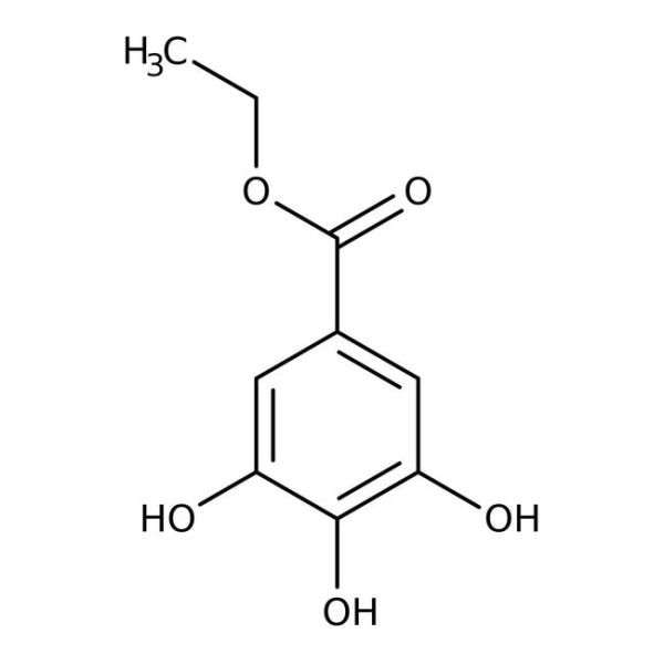 Gallic acid ethyl ester, 99%