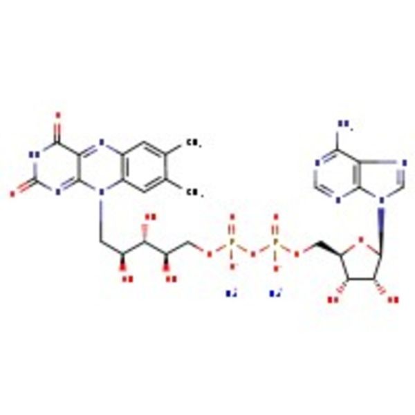 Flavin adenine dinucleotide disodium salt