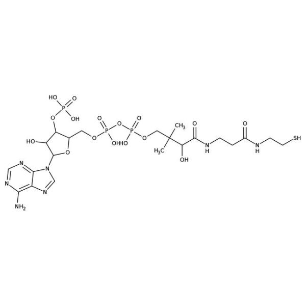 Coenzyme A trihydrate, free acid, Affymetrix/USB