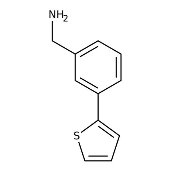 (3-Thien-2-ylphenyl)methylamine, 97%