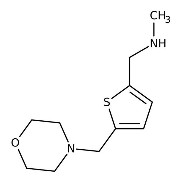 N-Methyl-[5-(morpholinomethyl)thien-2-ylmethyl]amine, 97% 1GR