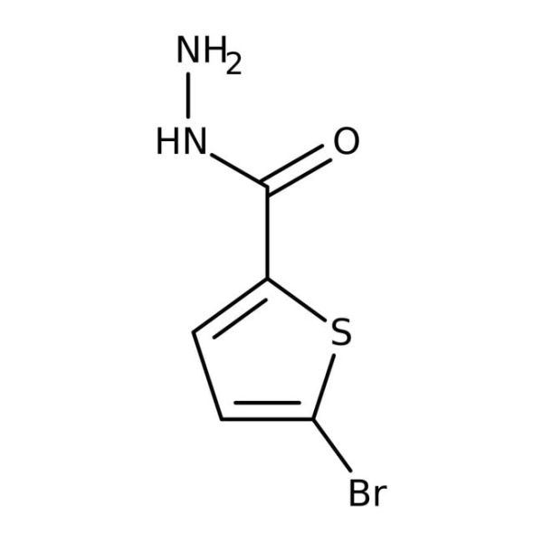 5-Bromothiophene-2-carboxylic acid hydrazide, 98%