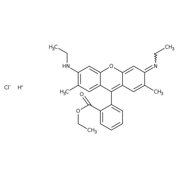 Rhodamine 6G