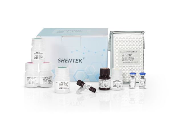 SHENTEK® Anti-E.coli (Protein Expression Strains) HCP Antibody