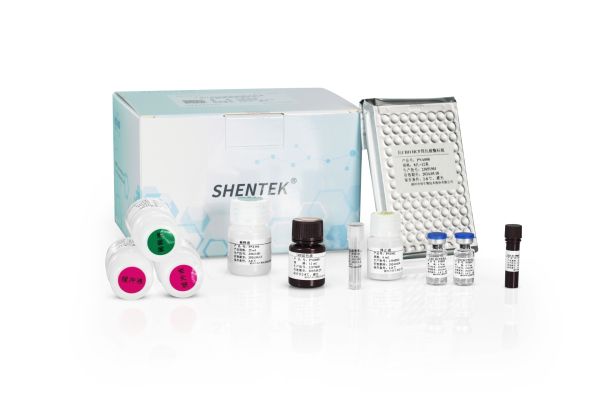 SHENTEK® CHO HCP ELISA Kit (One-step ELISA)