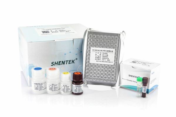 SHENTEK® CHO K1 HCP ELISA Kit (One-step ELISA) 