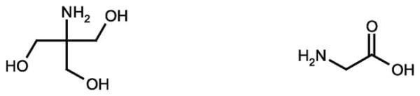Tris-glycine solution 10X, DNase RNase and protease free