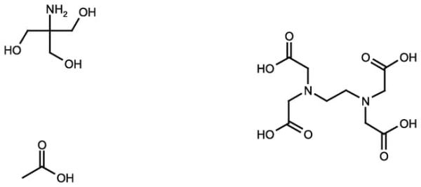 Tris-acetate-EDTA (TAE) solution 50X, DNase RNase and protease free