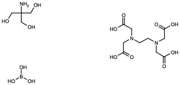 Tris-borate-EDTA, 1X solution