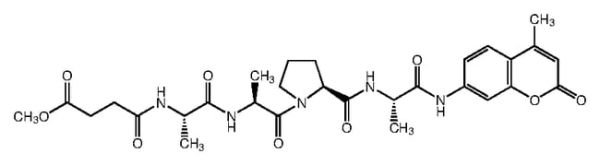 Elastase Substrate V