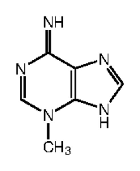 Autophagy Inhibitor, 3-MA