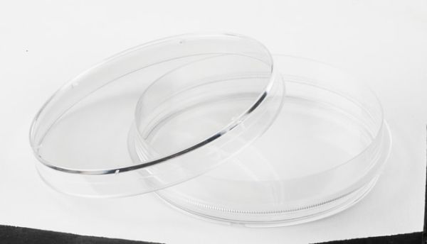 100mm TC dish w gripping ring 300/case