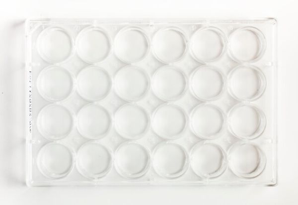 Fisherbrand 24 well TC multidish 100/cas