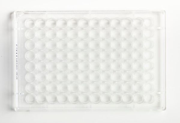96F well TC multidish 100/case