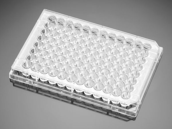 96 Well Cell Culture Plate, 50/Cs