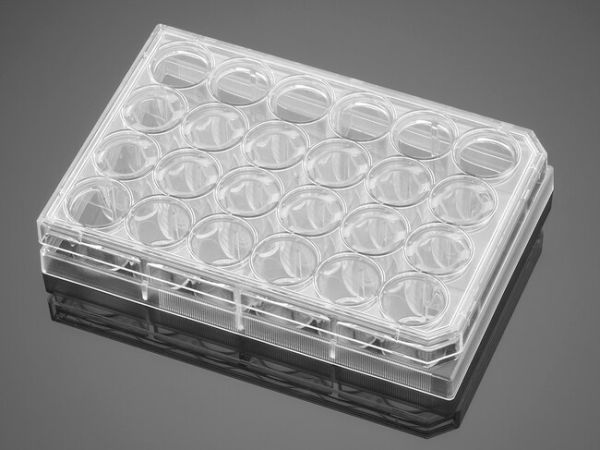 24 Well Cell Culture Plate wt Lid, 50/Cs