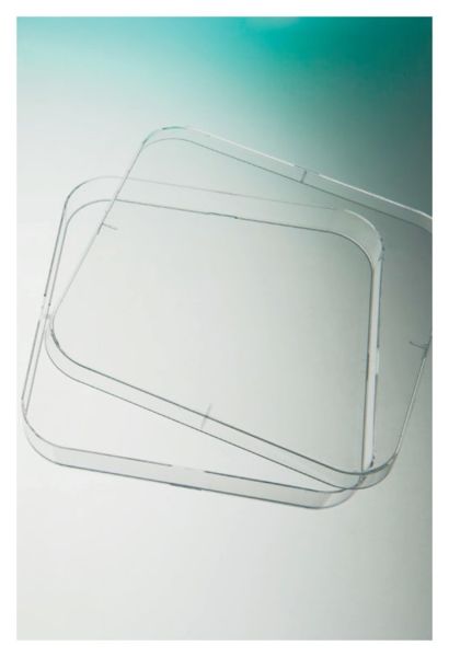 PETRI DISHES, SQUARE, 120 X 120 X 17MM HT, VENTED, PS (GREINER OR EQUIVALENT)
