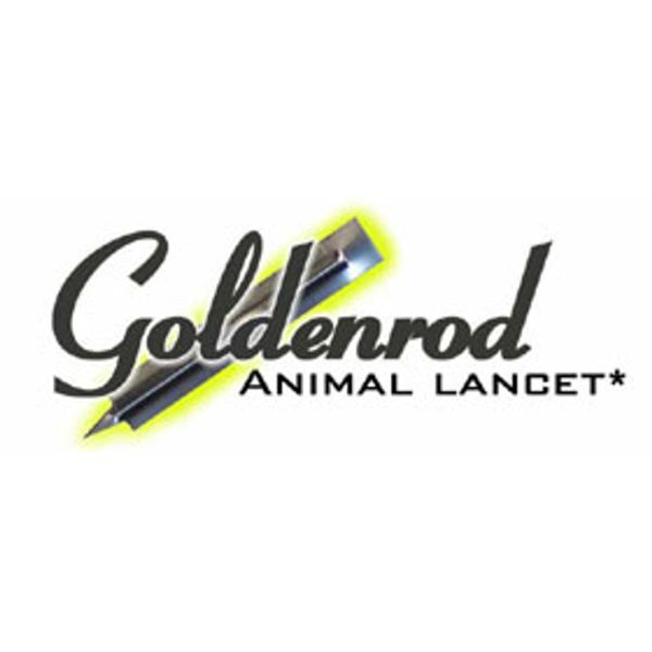 Goldenrod Animal Lancet 5.5MM 1000pcs/PK