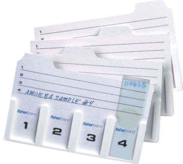 Slide Holder (12/pk)