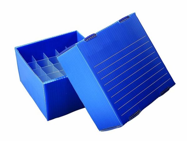 True North Corrugated Freezer Boxes,Blue