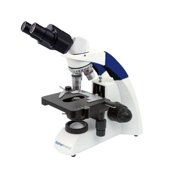 Fisherbrand™ Entry Level Upright Microscope