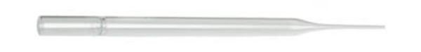 Pasteur Pipette Glass 150mm (1000/cs)