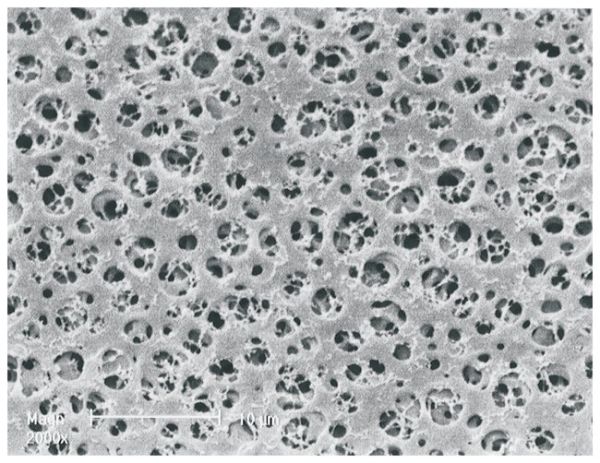 MEMBRANE DISC CA 100PK