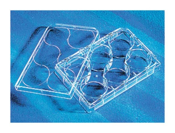 6WL PLATE NONTREATED100/CS
