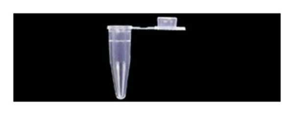 TUBE PCR LR .2ML FLAT CAP CLR