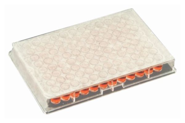 Axygen Microplate Sealing Film Sterile 5