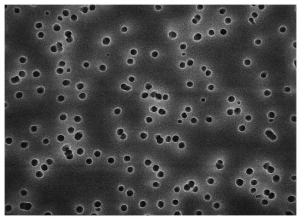 FLT PLYCRB .2UM 25MM 100/PK