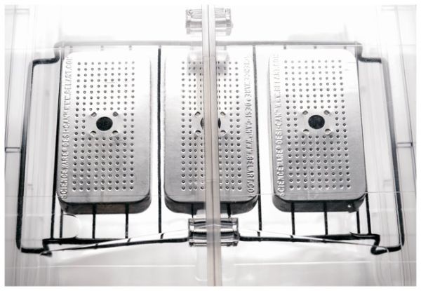 Bel-Art Secador Refrig Ready Desiccator,
