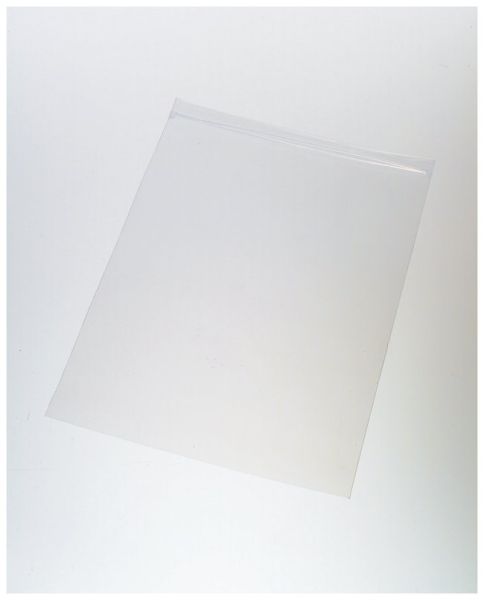 Qorpak™ 2mil Clear LDPE Zip Bags