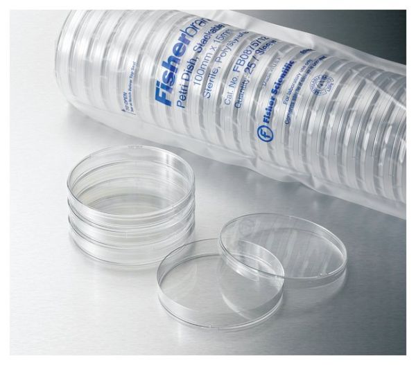 Fisherbrand Petri Dish with Clear Lid 60