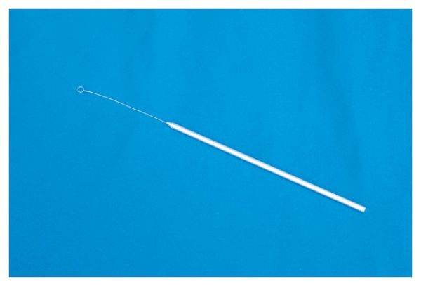 FB Inoculating Loops wt handles  24 guag