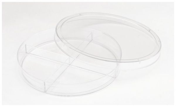 Quad Dish; X-Plate; Stackable Lid, Raise