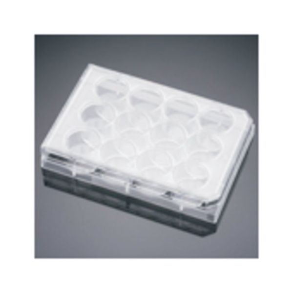 BCT COL I 12-WELL PLATES 50/CS