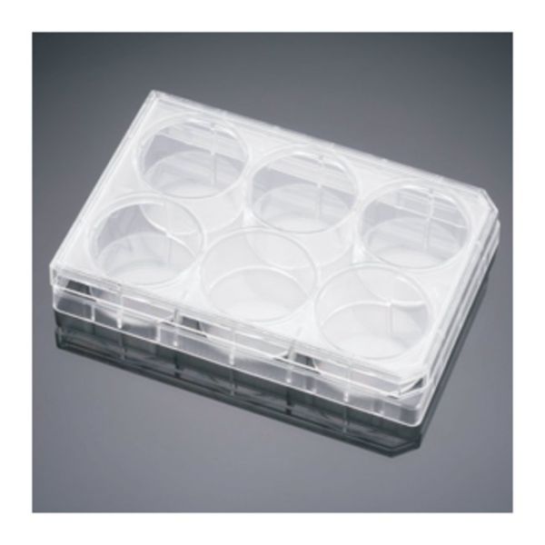 BCT COL I 6-WELL PLATES 50/CS
