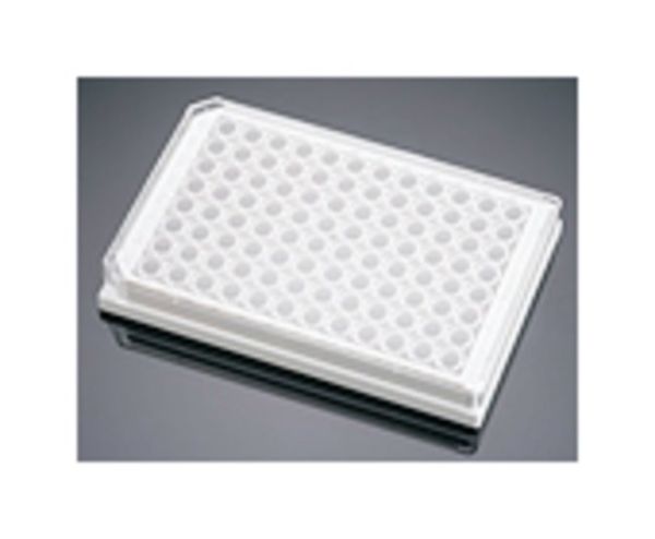 BCT PDL 96W WHT/CLR PLTE 5/CS