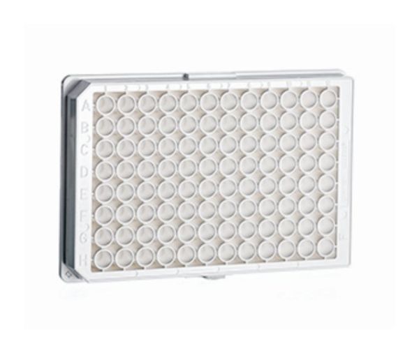 96Well Microplate PS, Non-sterile, White