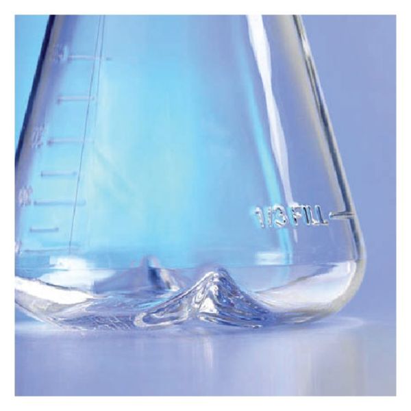 ERLENMEYER FLASK 250ML BAFFLED W/VENT CA