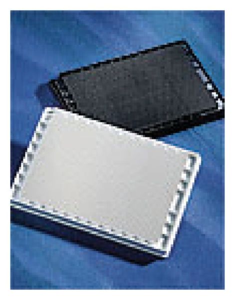 PLT 1536WL WH FB TCT LID 50/CS