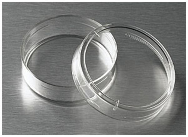 TIS CULT DISH 35X10MM 500/CS