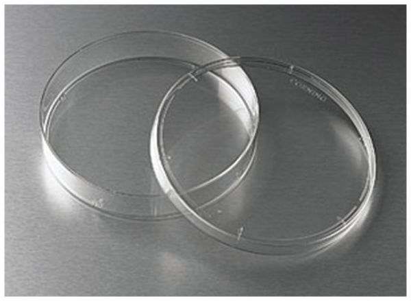 SUSPENSN DISH 150X25MM 60/CS