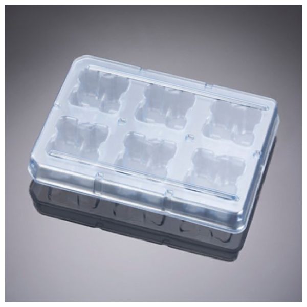 Falcon TC-Treated Multiwell Plate
