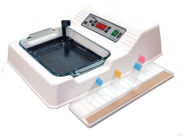 Fisher HealthCare™ Tissue Floatation Baths and Flotation Work Stations